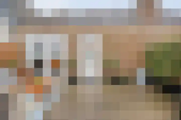 Beltestraat 3 Dalfsen thumbnail 20