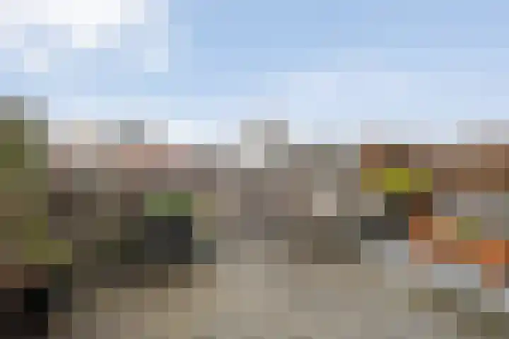 Beltestraat 3 Dalfsen thumbnail 21