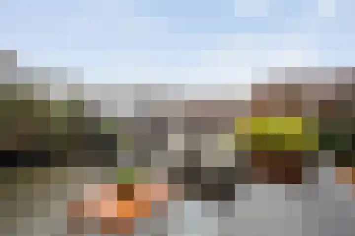 Beltestraat 3 Dalfsen thumbnail 22