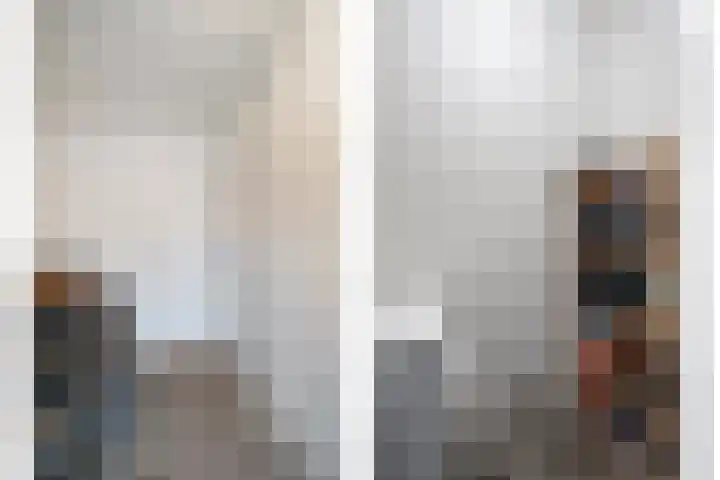 Beltestraat 3 Dalfsen thumbnail 24