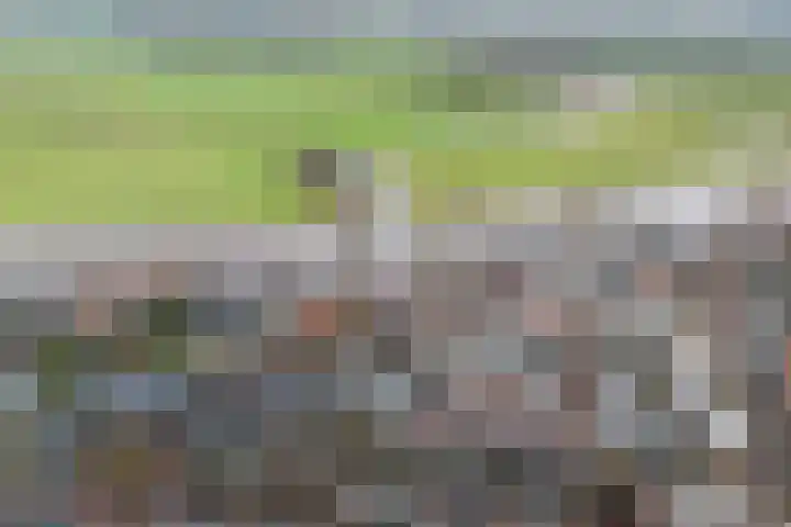 Beltestraat 3 Dalfsen thumbnail 30