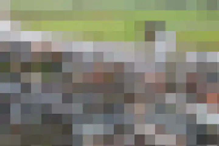 Beltestraat 3 Dalfsen thumbnail 31