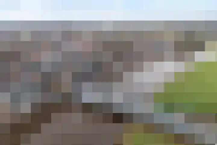Beltestraat 3 Dalfsen thumbnail 32