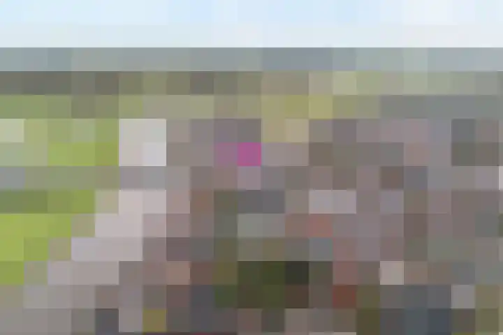 Beltestraat 3 Dalfsen thumbnail 4