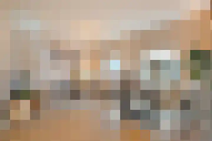 Beltestraat 3 Dalfsen thumbnail 5