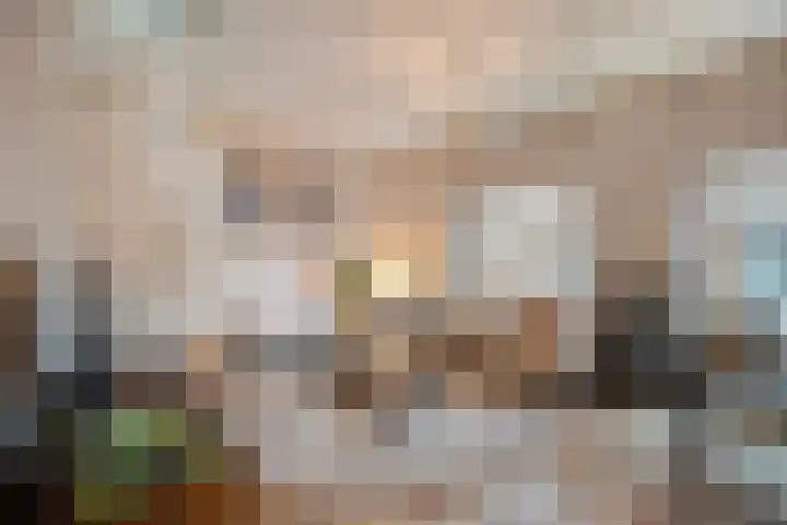 Beltestraat 3 Dalfsen thumbnail 8