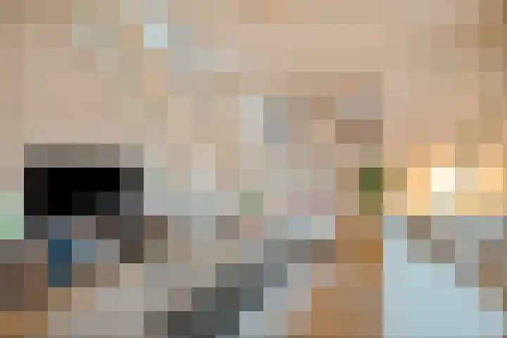 Beltestraat 3 Dalfsen thumbnail 9