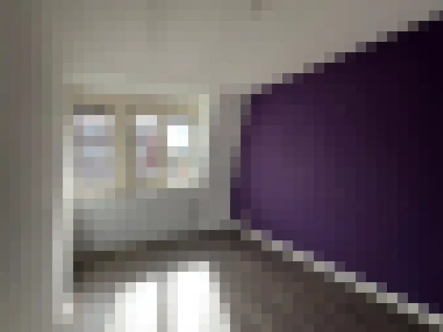 Belthoeve 12 Middenbeemster thumbnail 21