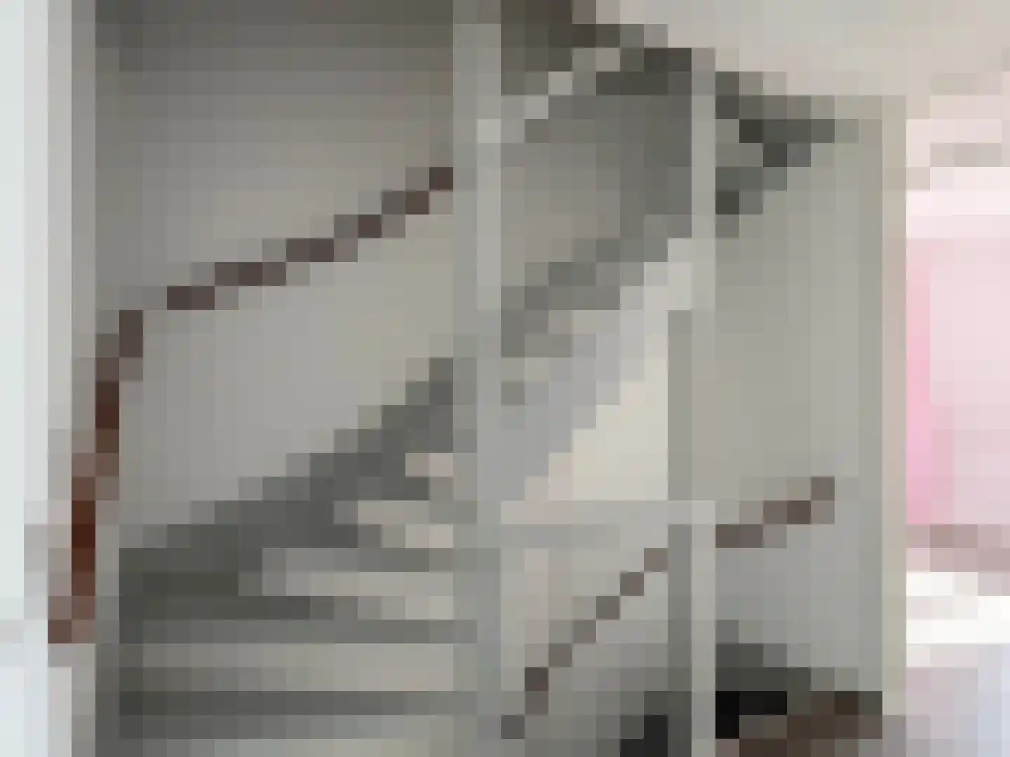 Belthoeve 12 Middenbeemster thumbnail 27