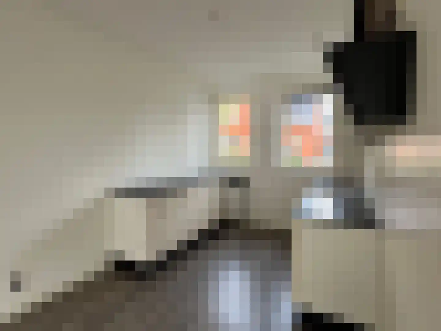 Belthoeve 12 Middenbeemster thumbnail 8