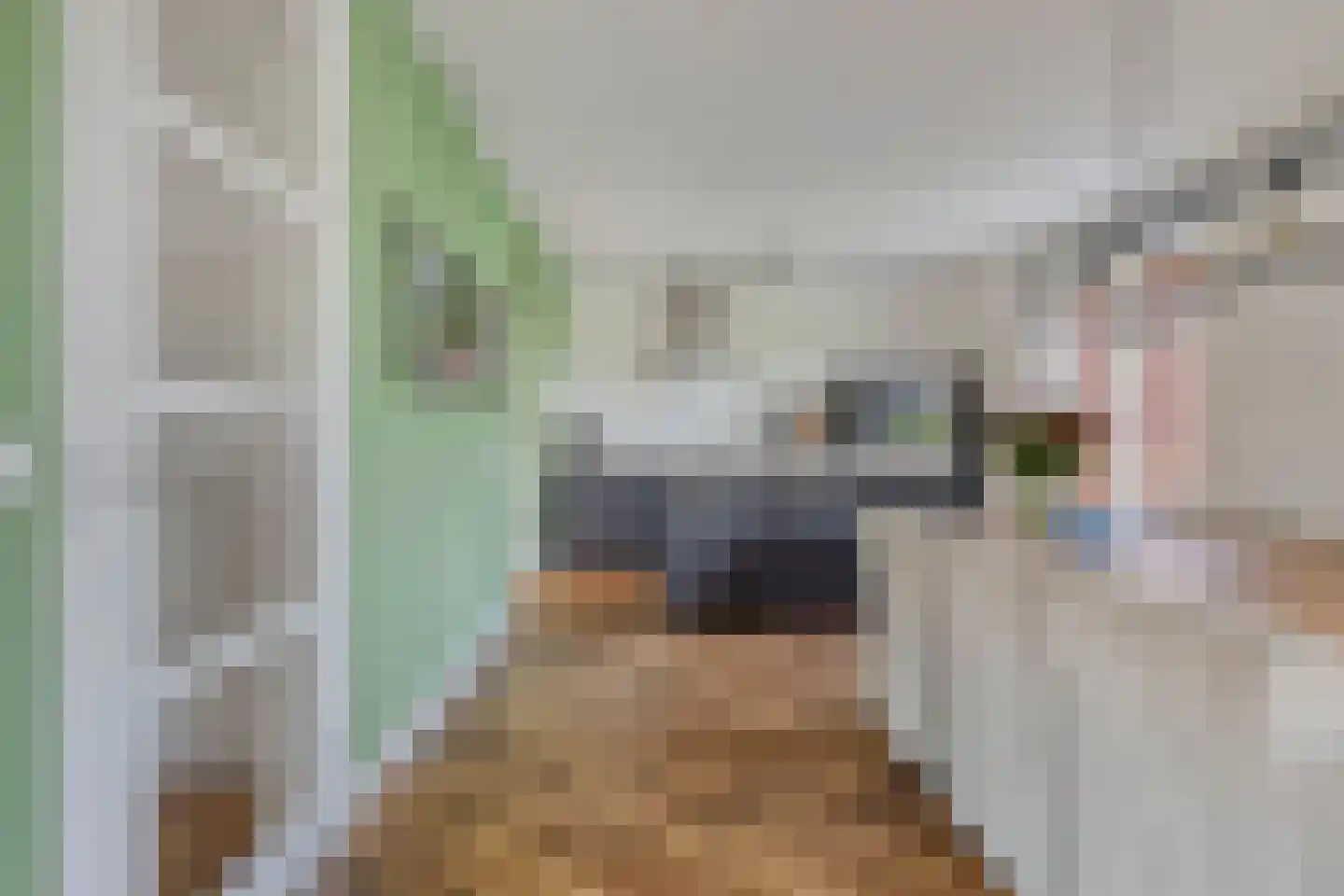 Belthoeve 3 Middenbeemster thumbnail 15