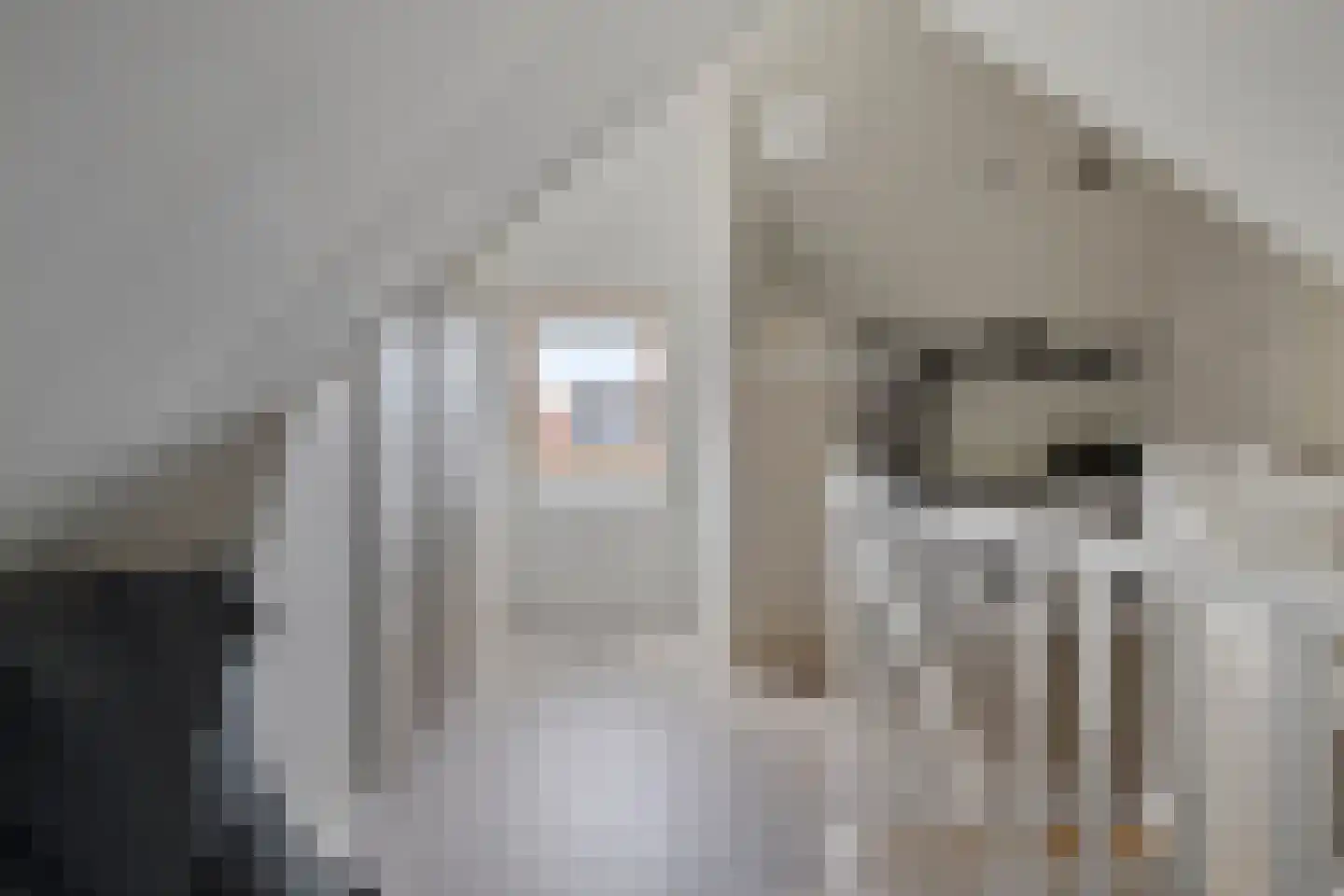 Belthoeve 3 Middenbeemster thumbnail 35