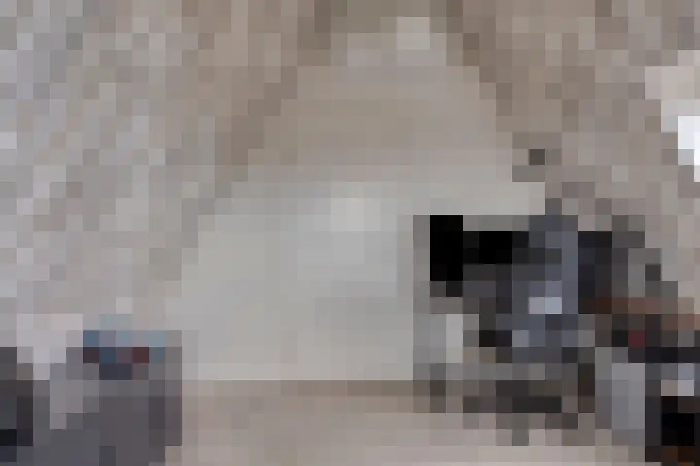 Belthoeve 3 Middenbeemster thumbnail 38