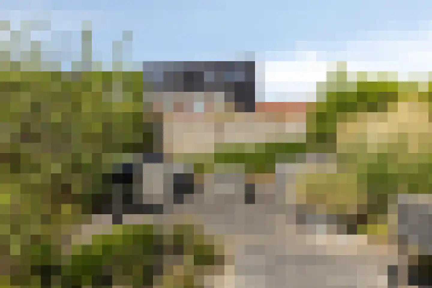 Belthoeve 3 Middenbeemster thumbnail 46