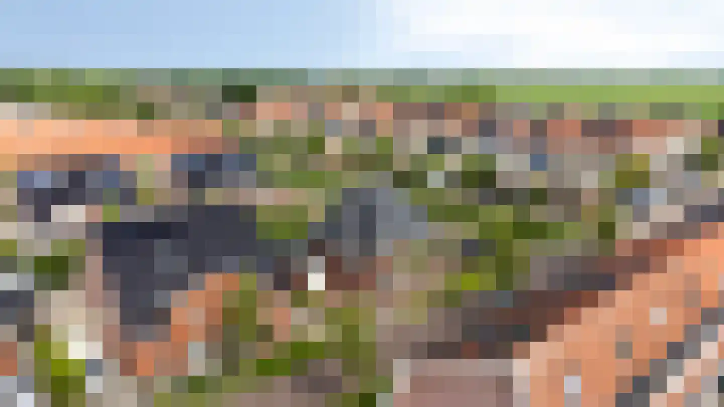 Belthoeve 3 Middenbeemster thumbnail 51