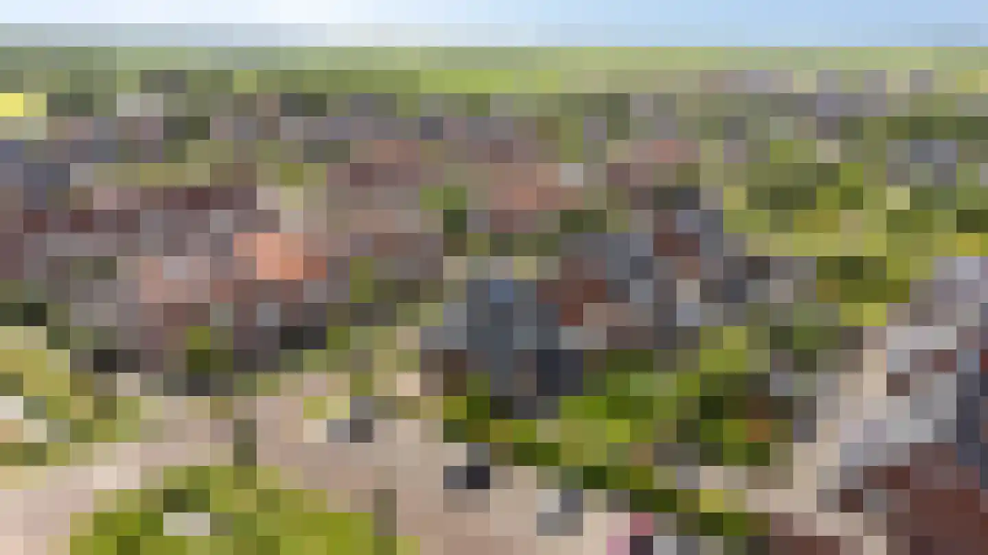 Belthoeve 3 Middenbeemster thumbnail 53