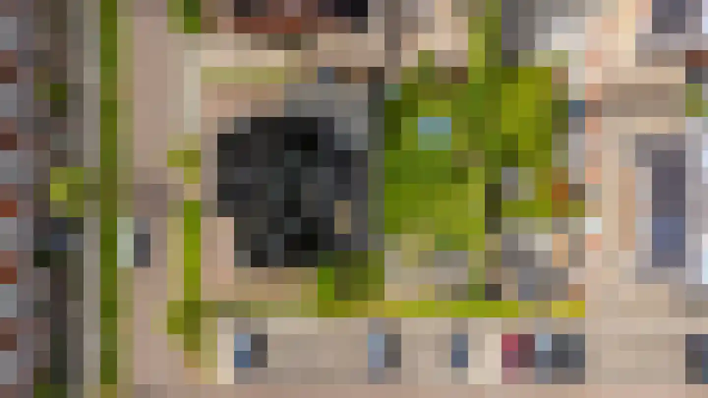 Belthoeve 3 Middenbeemster thumbnail 55