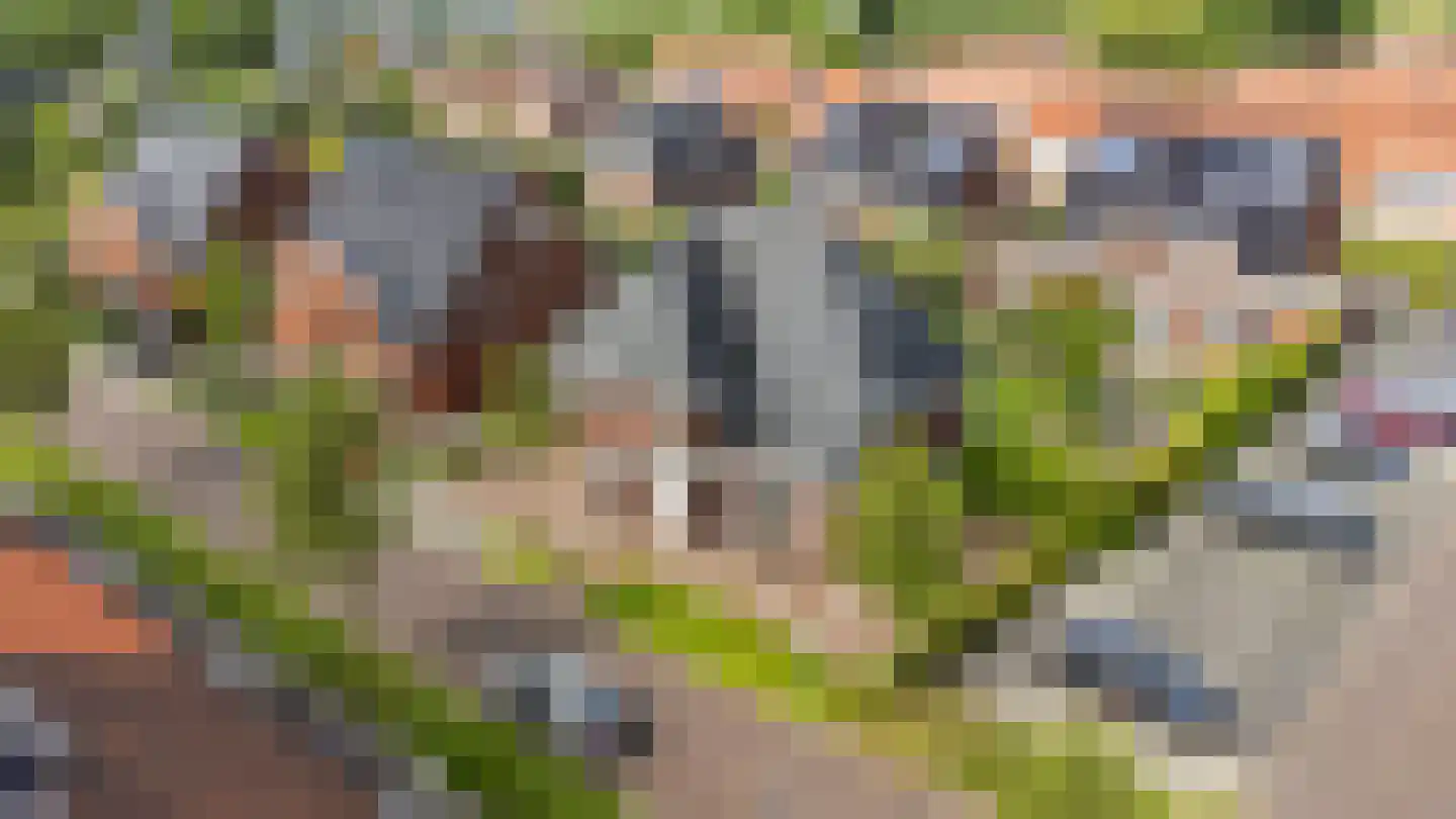 Belthoeve 3 Middenbeemster thumbnail 6