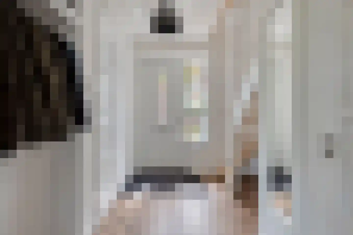 Belthoeve 3 Middenbeemster thumbnail 8