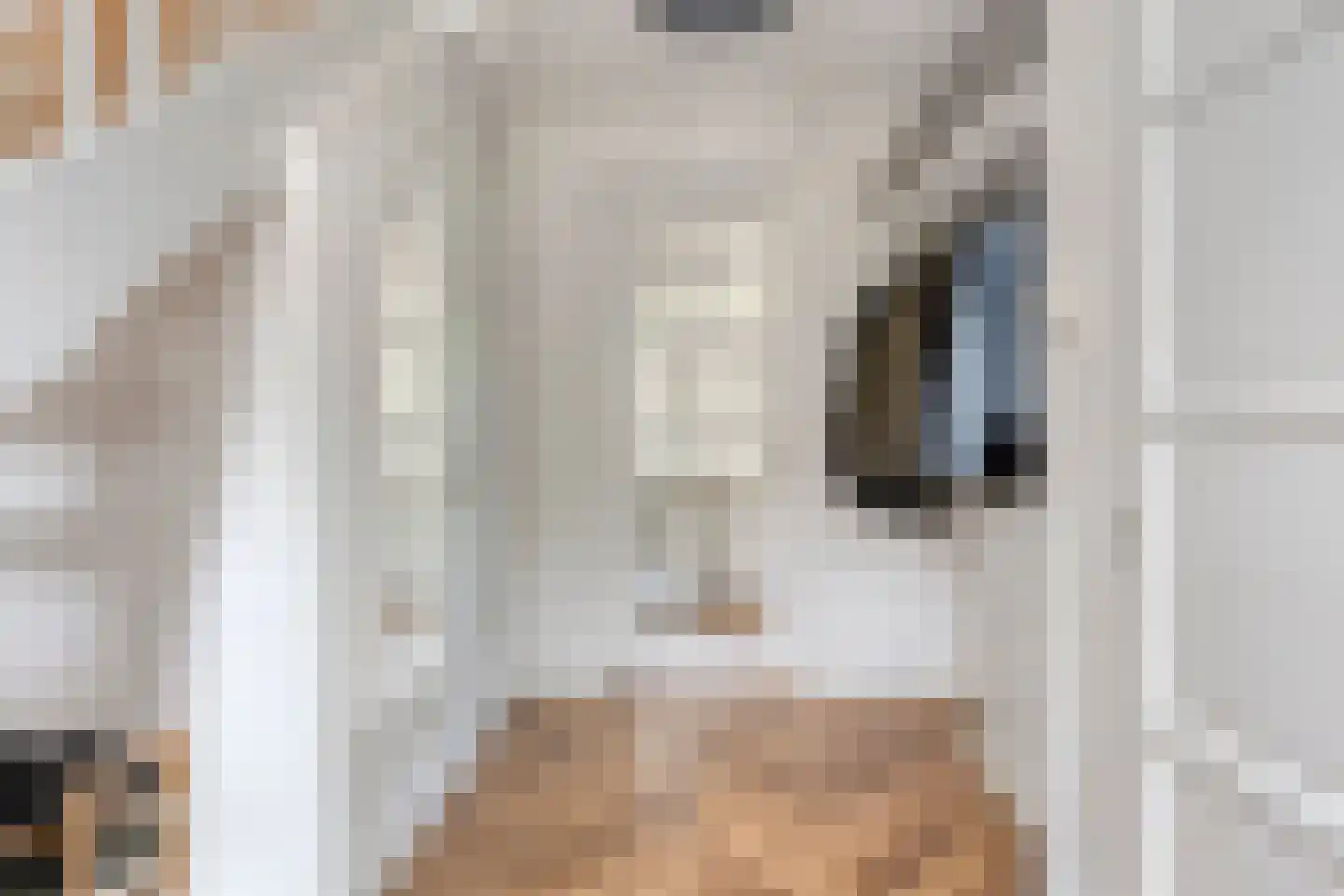 Belthoeve 3 Middenbeemster thumbnail 9
