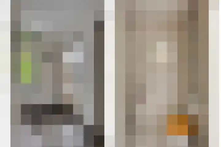 Beltmolen 101 Capelle aan den IJssel thumbnail 10