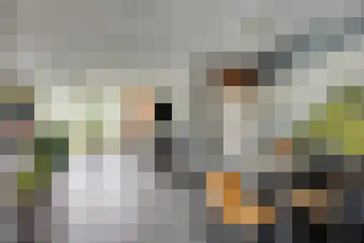 Beltmolen 101 Capelle aan den IJssel thumbnail 11