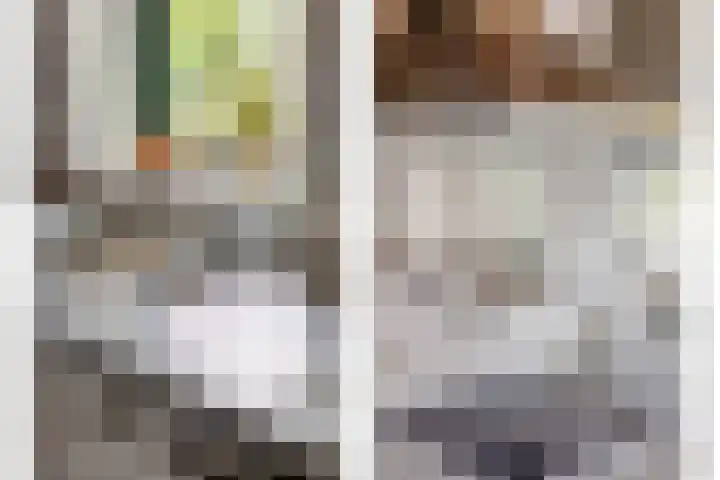 Beltmolen 101 Capelle aan den IJssel thumbnail 17