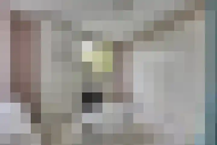 Beltmolen 101 Capelle aan den IJssel thumbnail 21