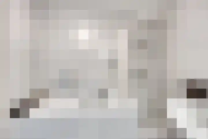 Beltmolen 101 Capelle aan den IJssel thumbnail 23