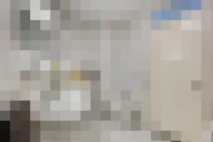 Beltmolen 101 Capelle aan den IJssel thumbnail 24
