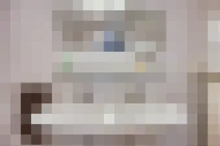 Beltmolen 101 Capelle aan den IJssel thumbnail 25