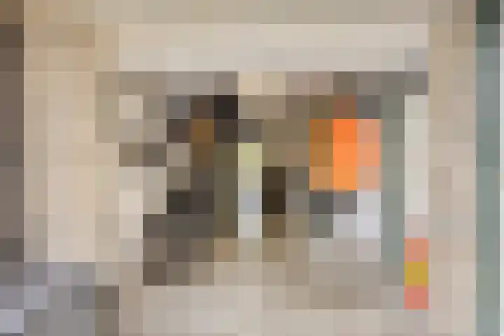 Beltmolen 101 Capelle aan den IJssel thumbnail 32