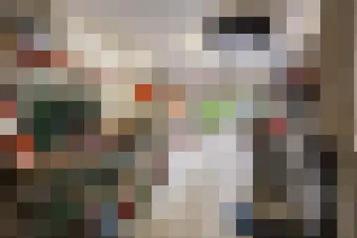 Beltmolen 101 Capelle aan den IJssel thumbnail 34