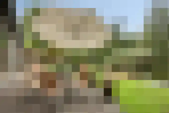 Beltmolen 101 Capelle aan den IJssel thumbnail 35