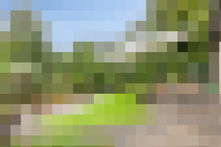 Beltmolen 101 Capelle aan den IJssel thumbnail 36