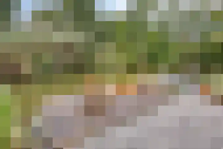 Beltmolen 101 Capelle aan den IJssel thumbnail 37