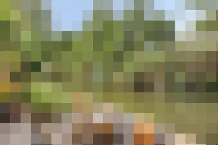 Beltmolen 101 Capelle aan den IJssel thumbnail 38
