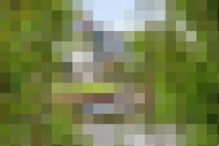 Beltmolen 101 Capelle aan den IJssel thumbnail 39