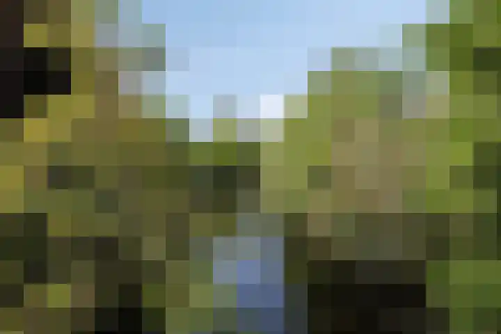 Beltmolen 101 Capelle aan den IJssel thumbnail 41