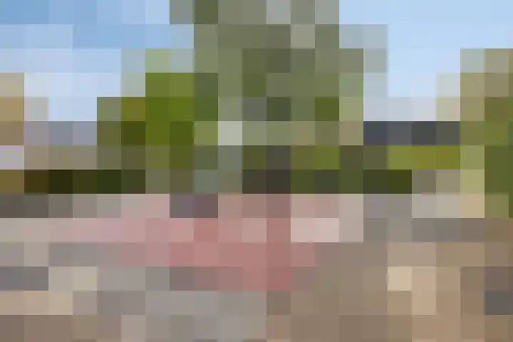 Beltmolen 101 Capelle aan den IJssel thumbnail 42