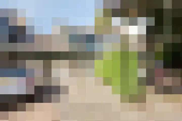 Beltmolen 101 Capelle aan den IJssel thumbnail 5