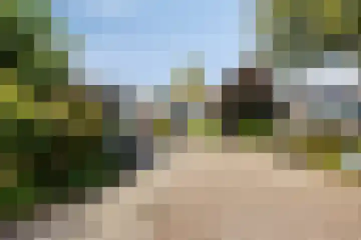 Beltmolen 101 Capelle aan den IJssel thumbnail 7