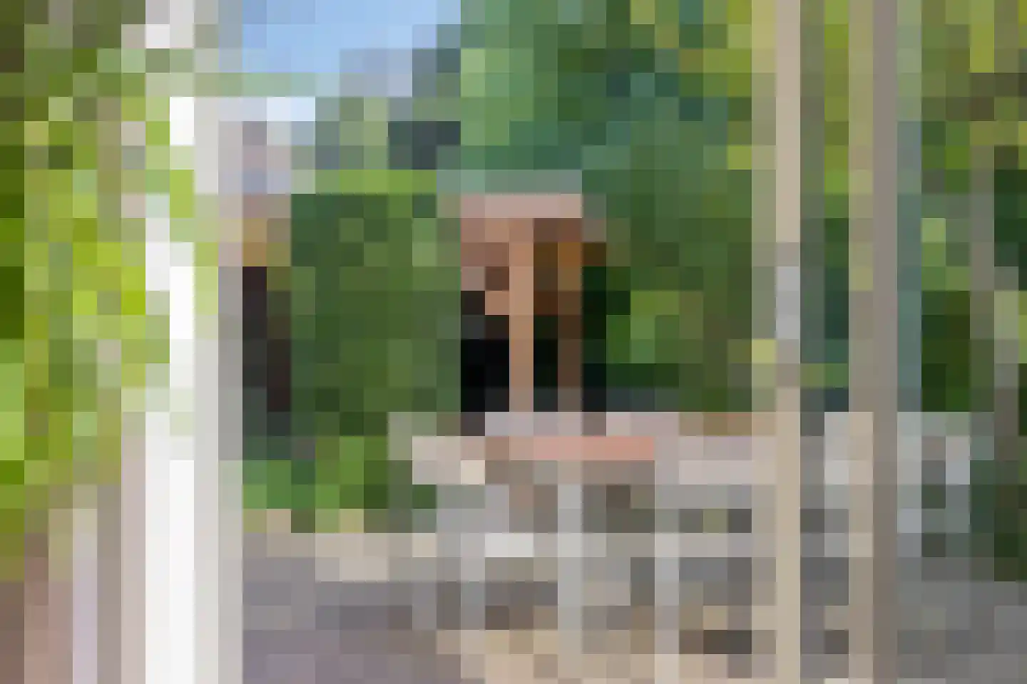 Beltmolen 108 Capelle aan den IJssel thumbnail 17