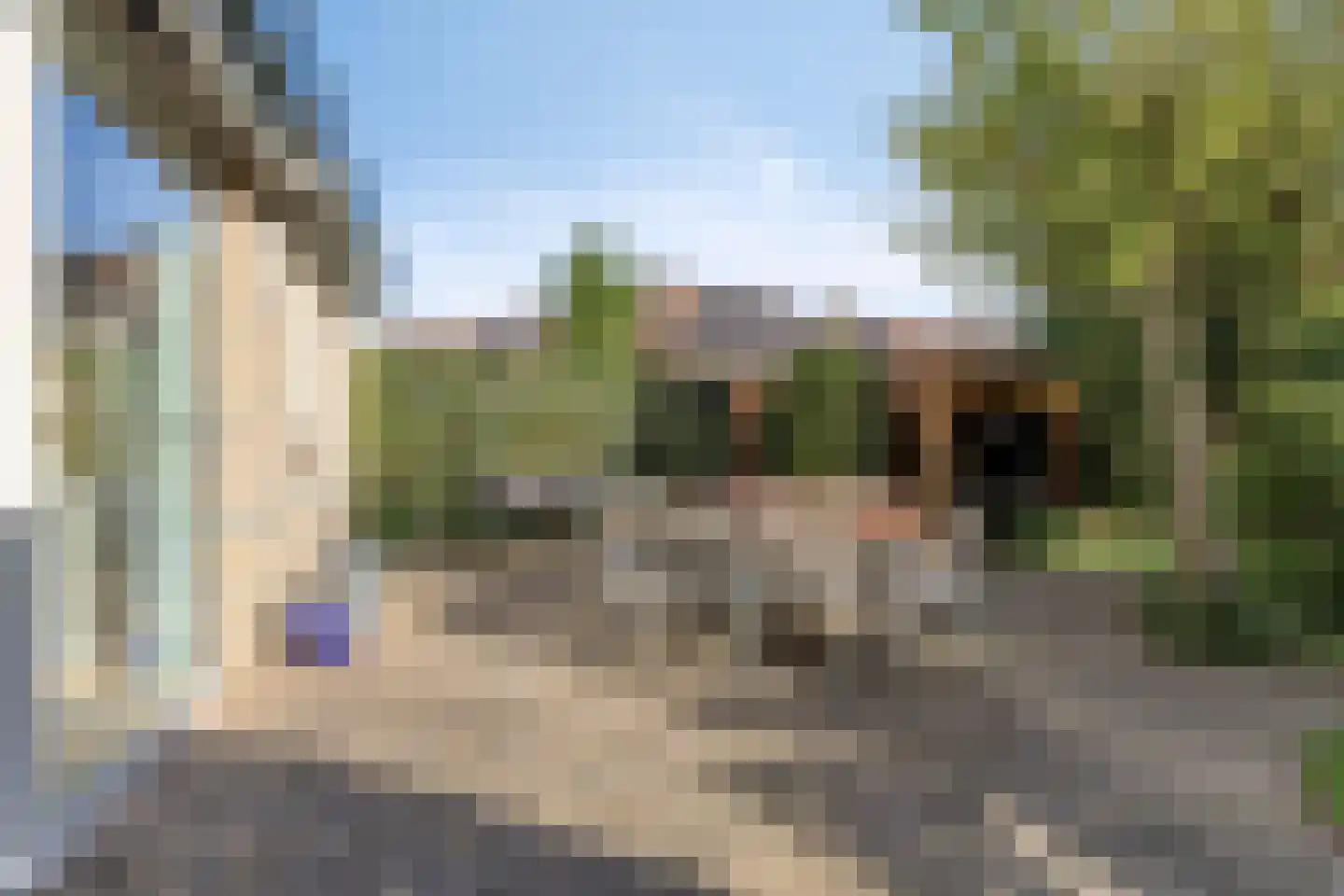 Beltmolen 108 Capelle aan den IJssel thumbnail 20