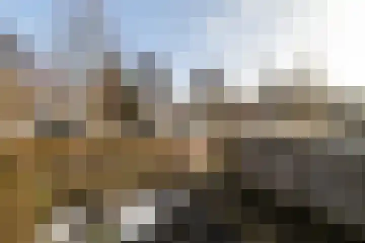 Beltmolen 109 Nunspeet thumbnail 5