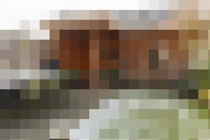 Beltmolen 109 Nunspeet thumbnail 7