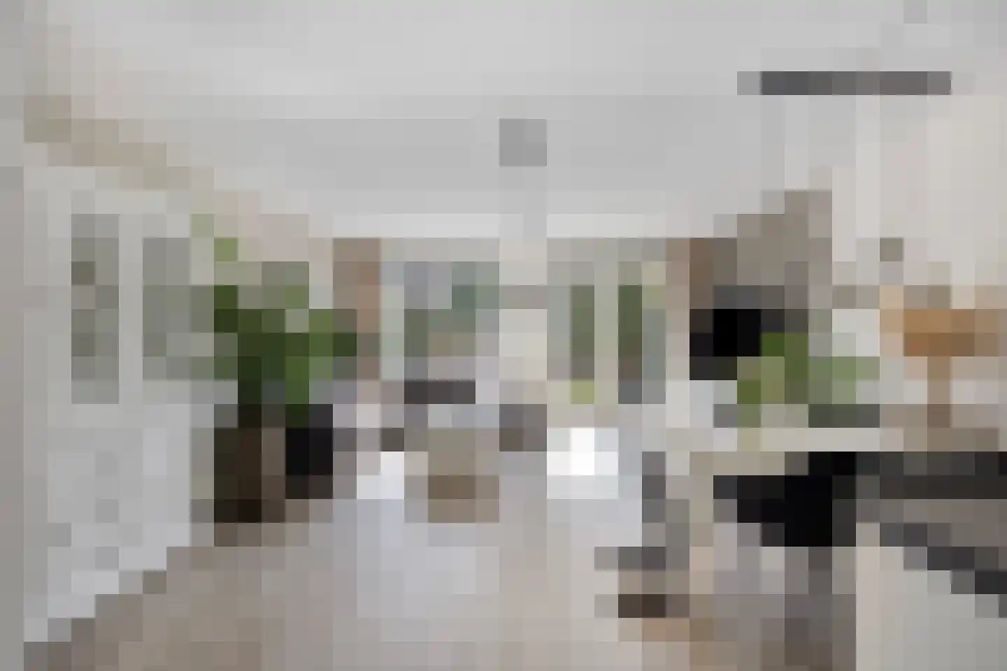 Beltmolen 11 Noordwijkerhout thumbnail 9