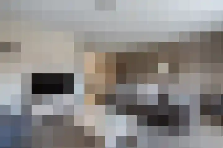 Beltmolen 113 Nunspeet thumbnail 19