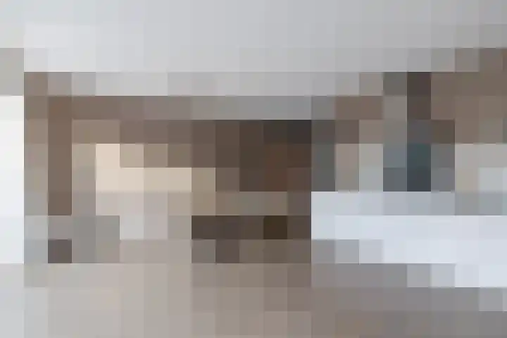 Beltmolen 113 Nunspeet thumbnail 24