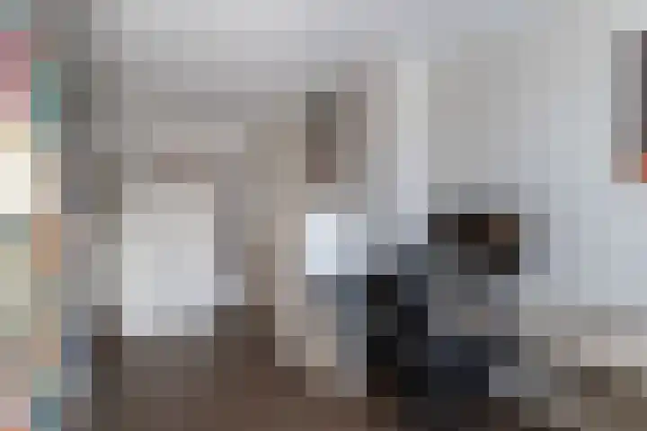 Beltmolen 113 Nunspeet thumbnail 30